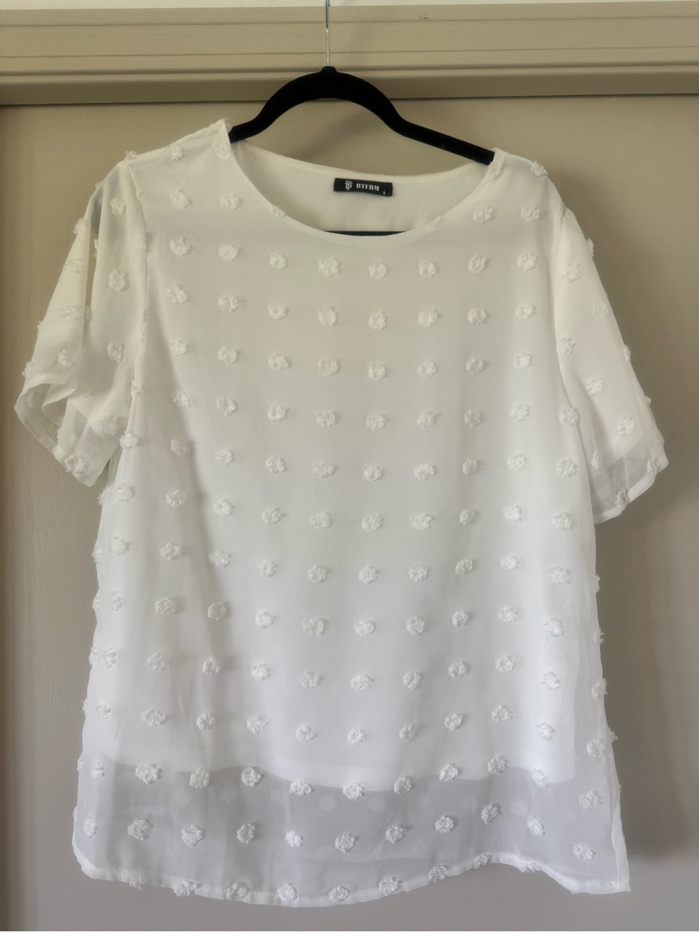 White Short Sleeve Swiss Dot Blouse